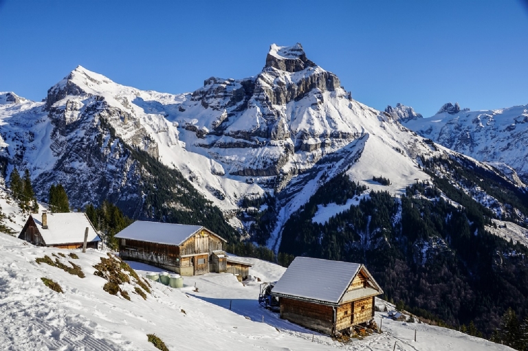 Top Tips for Planning a Ski Trip